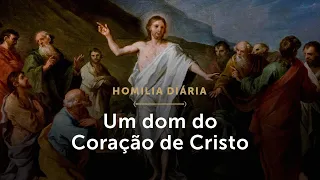 Homilia Diária | Um dom do Coração de Cristo (Memória de Santos Timóteo e Tito, Bispos)