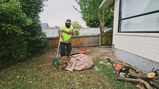 Cutting MOST of the TREE from the GARDEN