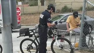 Off-Duty LAPD Officer Killed In Car Crash Remembered As Dedicated, Caring