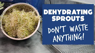 Don't Waste Uneaten Sprouts - Dehydrate Them!