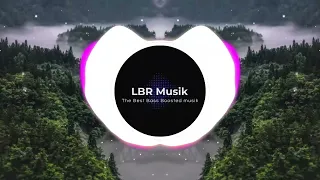 Robin S - Show Me Love [Bass Boosted] LBR Musik