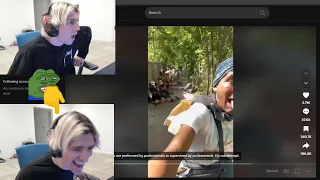 xQc dies laughing at people almost dying on TikTok