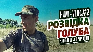 HUNT-VLOG#2 / Полювання на голуба: розвідка.