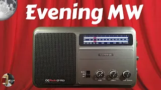 C.Crane CC Radio EP Pro Evening MW