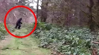 10 Real Bigfoot Sightings Caught on Tape