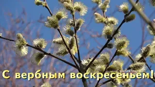 28 АПРЕЛЯ - ВЕРБНОЕ ВОСКРЕСЕНЬЕ!