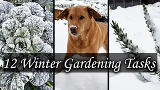 12 Winter Gardening Tasks For A Better Spring Garden
