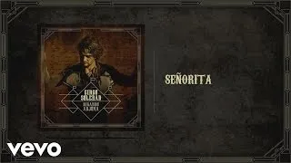 Ricardo Arjona - Señorita