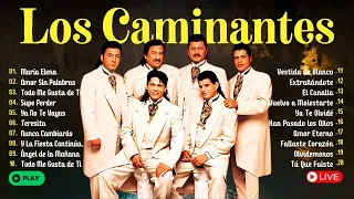 Viaja al Pasado: LOS CAMINANTES ~ 10 GRANDES ÉXITOS ROMÁNTICOS LOS CAMINANTES SUS MEJORES CANCIONES