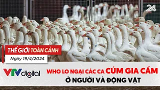 Thế giới toàn cảnh 19/4: WHO lo ngại các ca cúm gia cầm ở người và động vật | VTV24