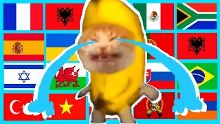 Happy Banana Cat in different languages meme lemon mix