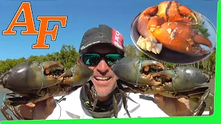 Delicious Mud Crab in White wine & Garlic Sauce Recipe Catch and Cook kepiting lumpur EP.410