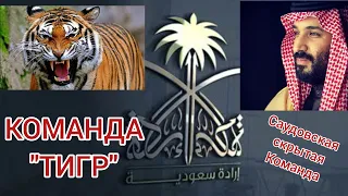 Мухаммад Ибн Салман наследный принц Саудии и его КОМАДНА "ТИГР"