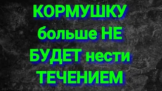 Кормушку больше не будет нести течением