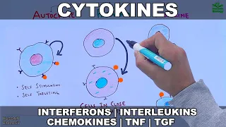 Cytokines | Classification and Functions