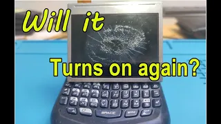 Does it turn on again? - Blackberry 8700 - Replace screen
