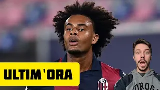 ‼️ULTIM'ORA MILAN - ZIRKZEE! - Milan News - Andrea Longoni