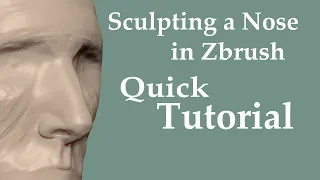How to sculpt a nose in zbrush- quick tutorial