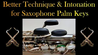 Palm Keys Technique and Intonation