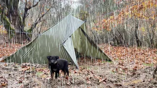 Camping With my Dog in Rain Storm -  Bad Weather Conditions Camp, Heavy Rain ASMR