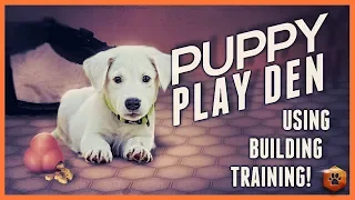 How to Use the Puppy Play Den for Solid Puppy Training!