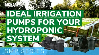 Ideal Irrigation Pump for Your Hydroponic System - Mckarlen SMP Series