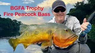 Peacock Bass Fishing in the Amazon Jungle: Unknowingly Breaking a World Record