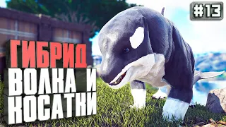 Гибрид волка и косатки #13 Additional Creatures 2 карта Олимпус