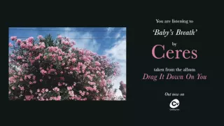 Ceres - Baby's Breath