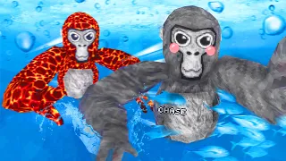 I Became The FASTEST SWIMMER In Gorilla Tag...