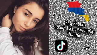 Տիկ Տոկեր Նենսի Աբրահամյանի Մասին