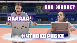 #What'sInTheBoxChallenge "Dinamo-Kazan"