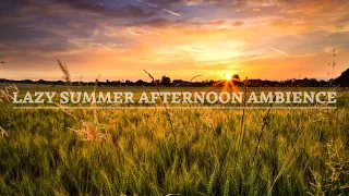 🎧 8 HRS LAZY SUMMER AFTERNOON AMBIENCE