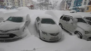 Метель на Старый (Новый год) на Сахалине. 14 января 2022 года