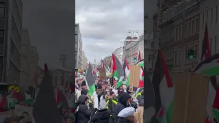 Massive Protest in Copenhagen, Denmark #palestine #protest