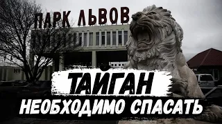 СРОЧНО. Тайган нужно спасать. Парк львов Олега Зубкова