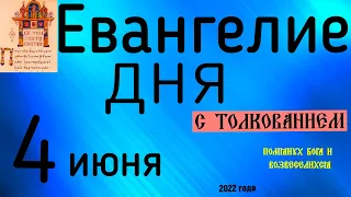 Евангелие дня с толкованием  4 июня  2022 года