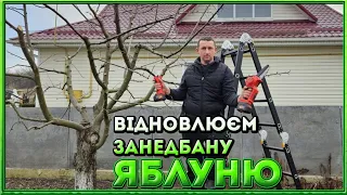 🇺🇦Обрізка саду. Відновлення проблемної яблуні! Потрібні поради по садоводству!