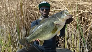 How To Catch Big Prespawn Bass On Big Swimbaits!