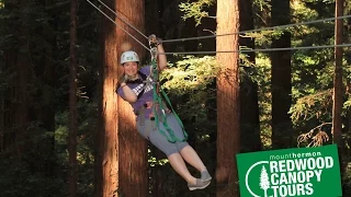 Zip lining in the Redwood Forest