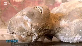 Gli scavi di Pompei - Petrolio 28/07/2017