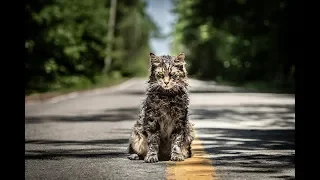 Кладбище домашних животных / Pet Sematary (2019) Дублированный тизер-трейлер HD