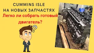 Cummins ISLe 8.9 - собрали под клиента. Камминз моменты затяжки.