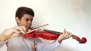 Despacito | Violin Cover by Dulmina Thejan