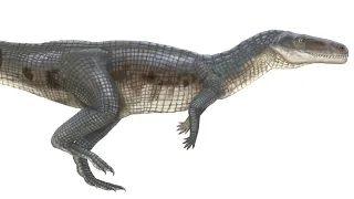 Poposaurus: The Crocodilian Raptor