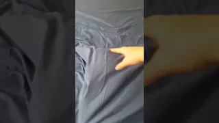 Funny cat under sheets