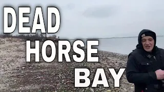 Mudlark Dead Horse Bay