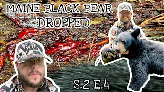 First Ever Maine Black Bear DROPPED |S.2 E.4| #bear #hunting #blackbear