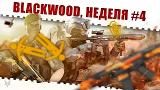 ЗАДАНИЯ BLACKWOOD ВАРФЕЙС!НЕДЕЛЯ КВЕСТОВ #4!КАК ЗАКРЫТЬ ЕЁ В WARFACE И ПОЛУЧИТЬ НАГРАДЫ?!