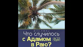 Что случилось с Адамом в Раю?